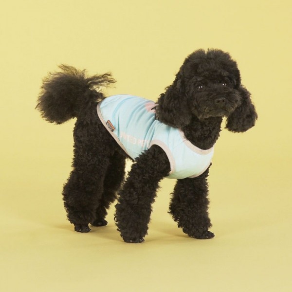 United Pets T-Dog Azzurro Maglietta per Cani Presa
