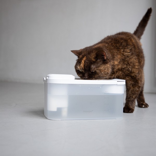 Hoopo Hydr Fontana per Gatti Spedizione Gratuita