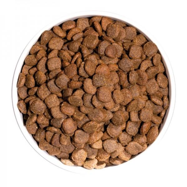 Ownat Dog Just Grain Free Anatra per Cani Offerte