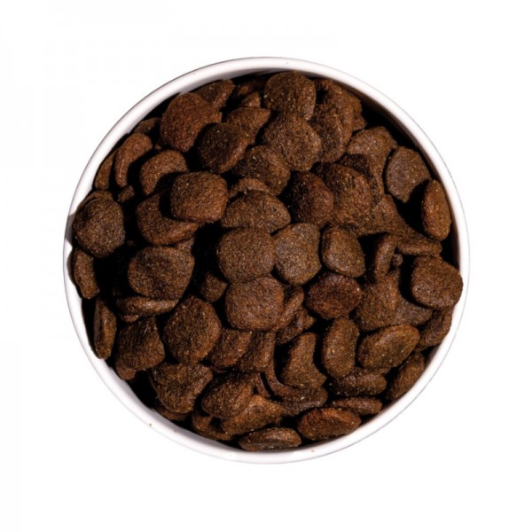 Ownat Dog Hypoallergenic Grain Free Adult Agnello per Cani Vendita Calda