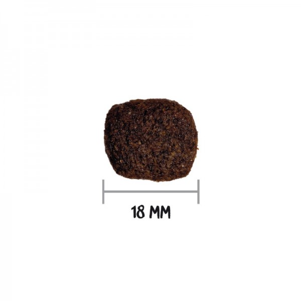 Ownat Dog Hypoallergenic Grain Free Adult Agnello per Cani Vendita Calda