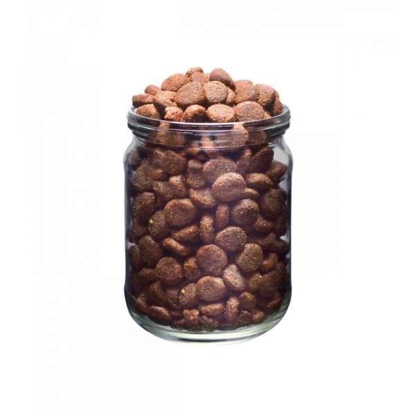 Brit Fresh Puppy Pollo e Patate per Cuccioli Promozione