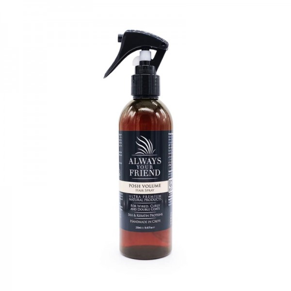 Always Your Friend Spray Volume In Saldo