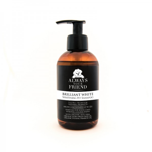 Always Your Friend Shampoo Bianco Brillante Super sconto