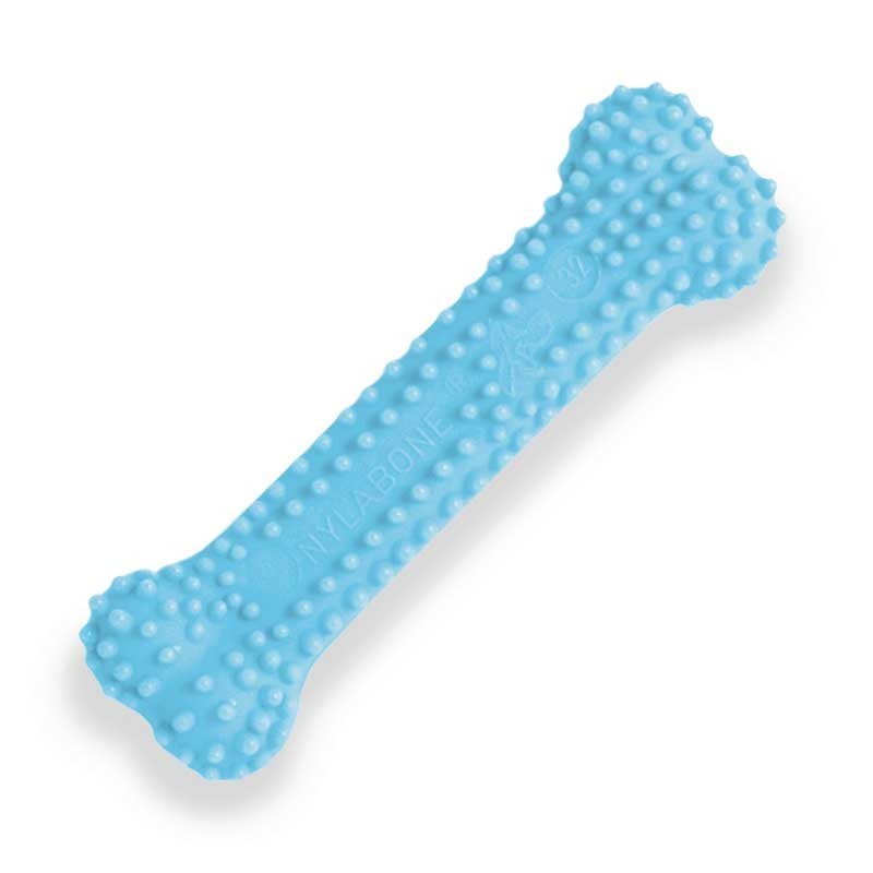 Nylabone Puppybone Dental Azzurro