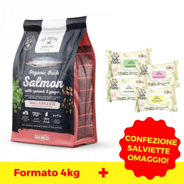 Go Native Small Breeds Salmone Biologico Spinaci e Zenzero Offerta Giorno del Papà