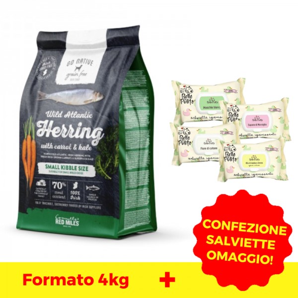 Go Native Small Breeds Aringa Carota e Cavoli Offerta San Valentino