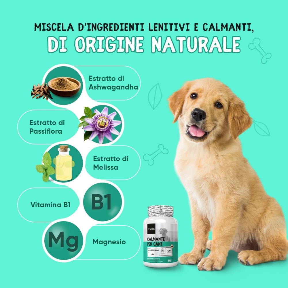 Animigo Formula per Cani Economico