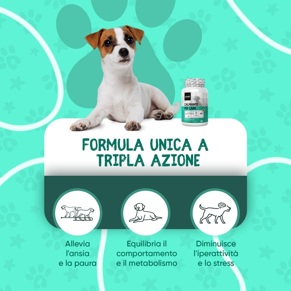 Animigo Formula per Cani Economico