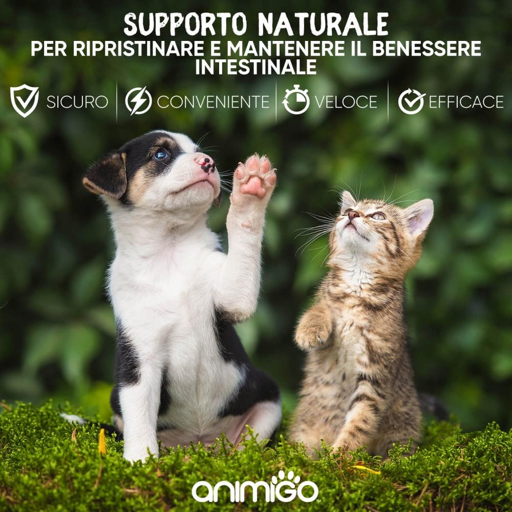 Animigo Animigo Vermifugo Gatti e Cani in Gocce Nuova