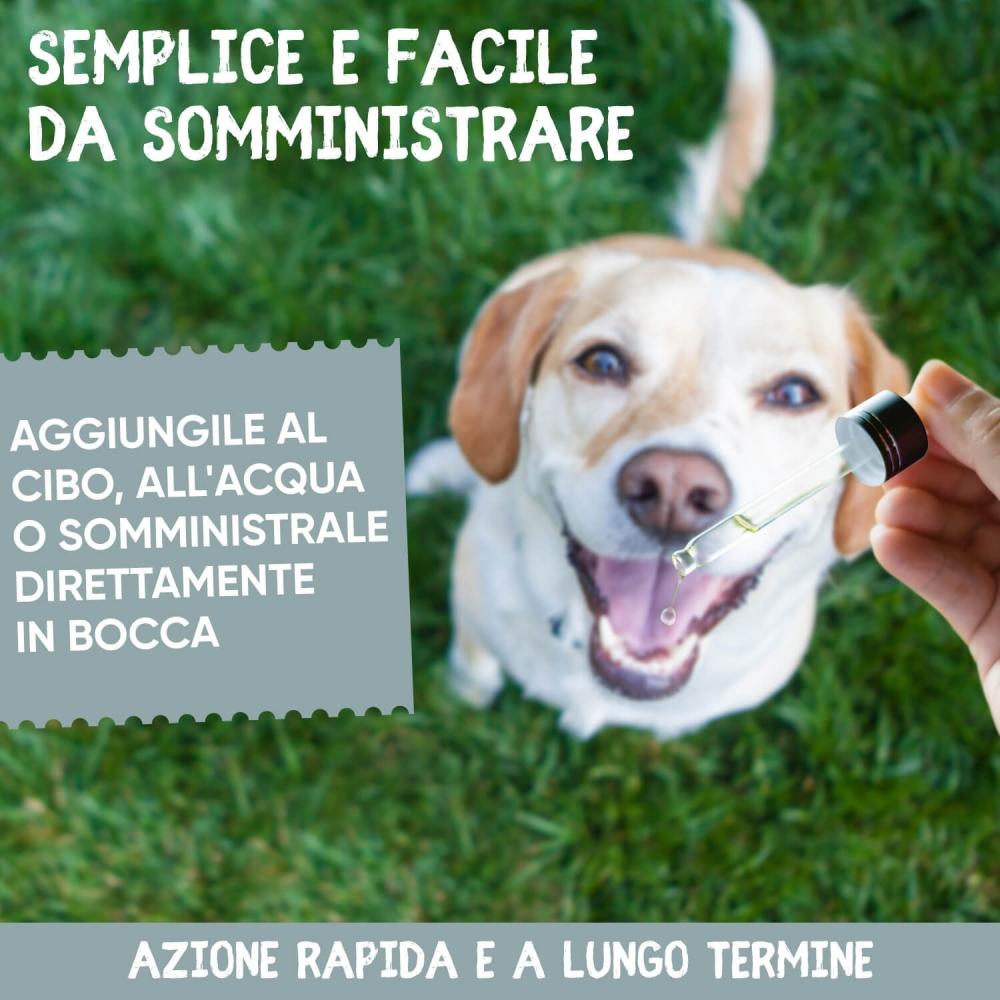 Animigo Animigo Vermifugo Gatti e Cani in Gocce Nuova