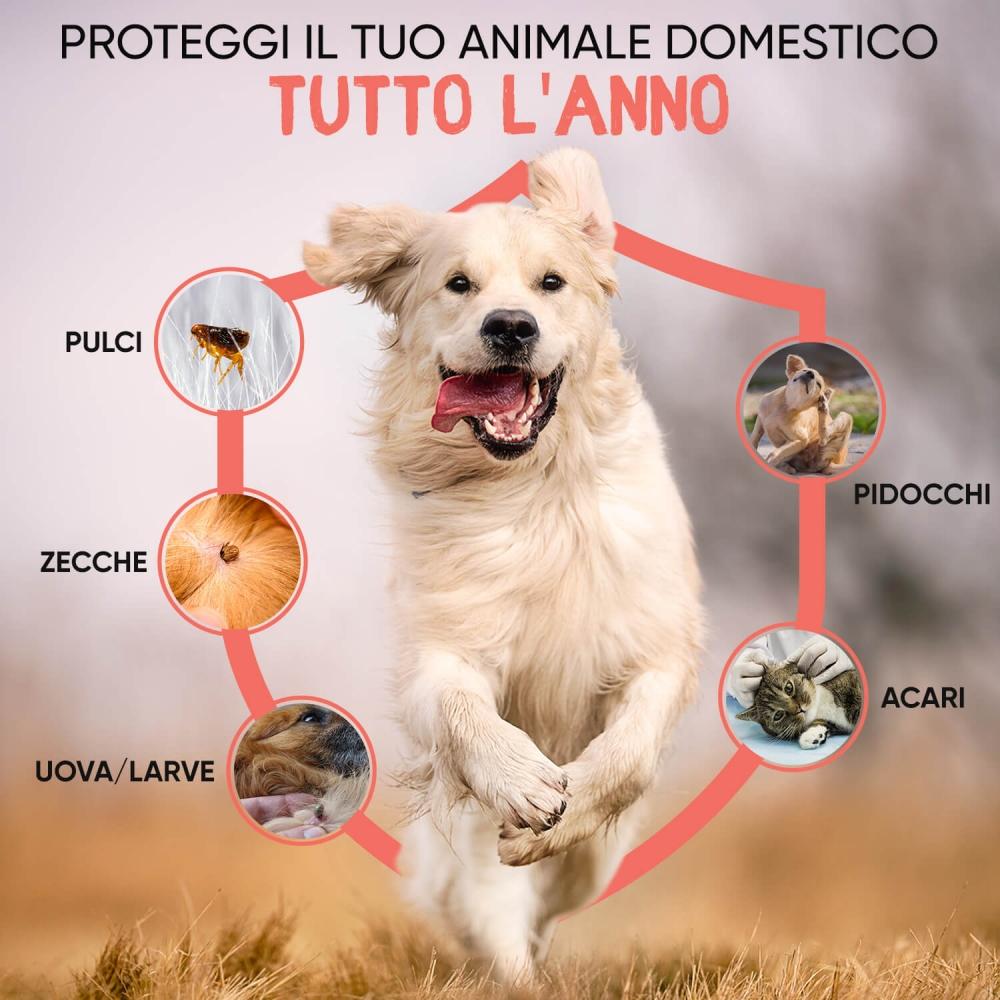 Animigo Polvere Antipulci Promozione