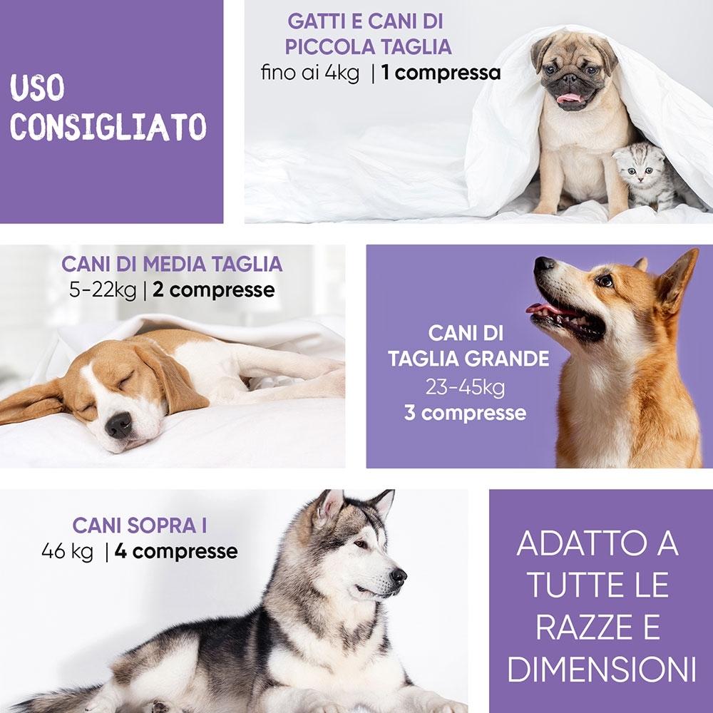 Animigo Animigo Anche e Articolazioni Nuova