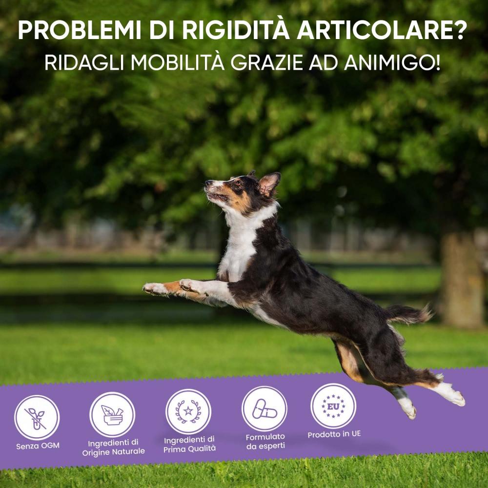 Animigo Glucosamina e Condroitina Soddisfazione Garantita