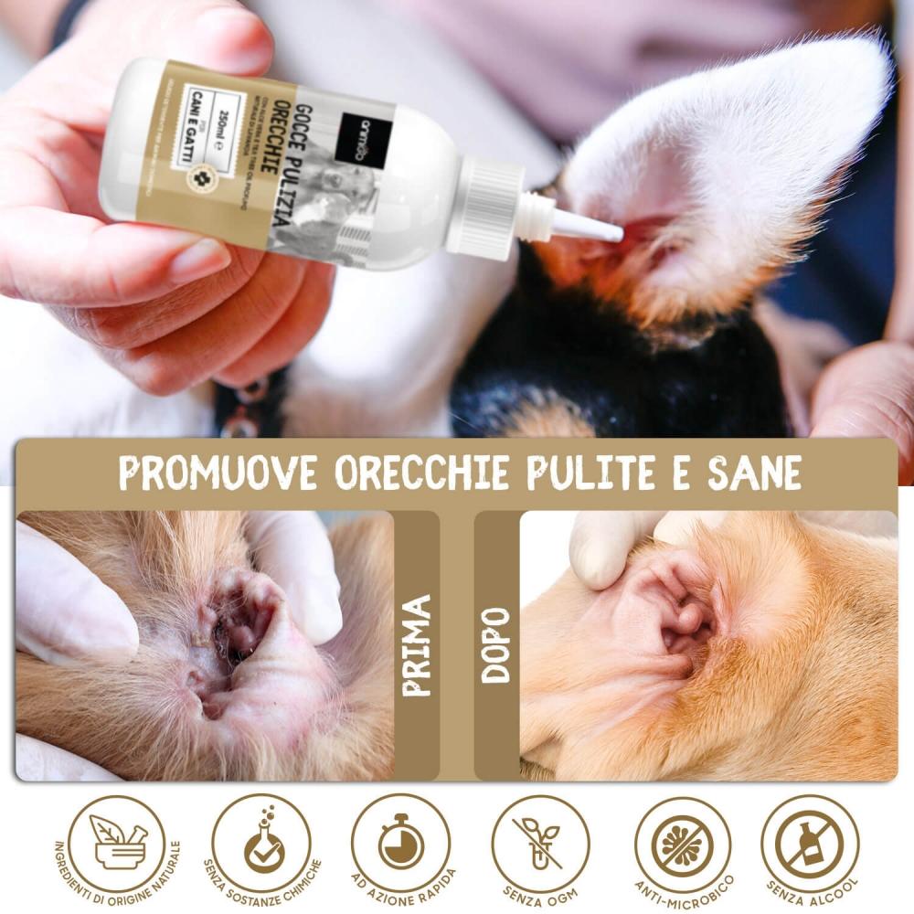 Animigo Ear Cleaner Consegna Veloce