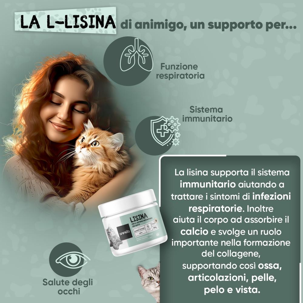 Animigo L-Lisina Polvere Promozione Limitata
