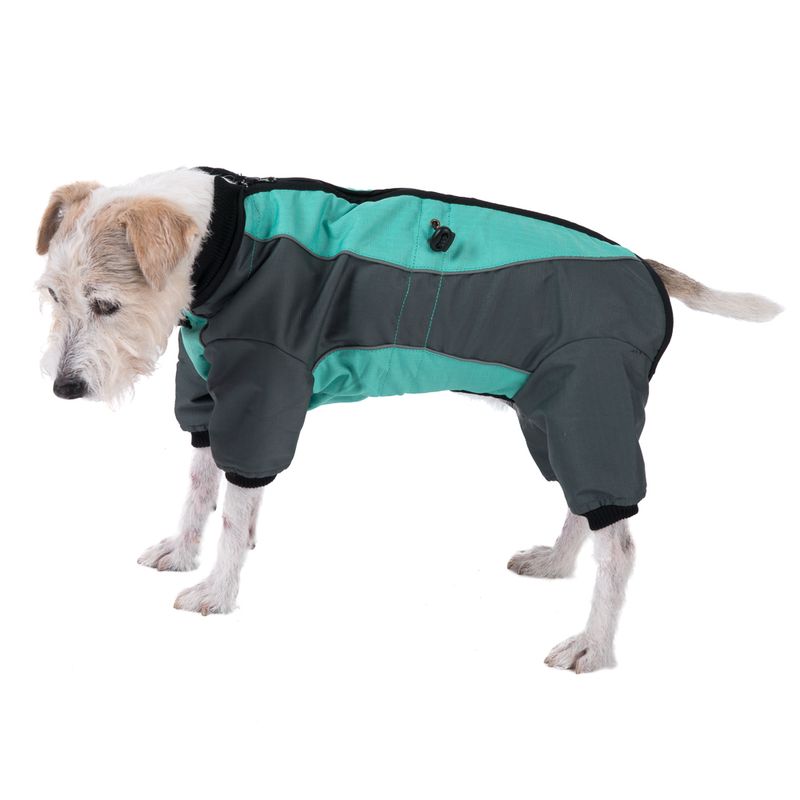 Bitiba Tuta per cani Menta Negozio