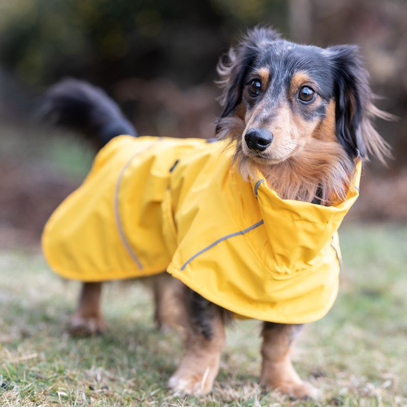 Bitiba Impermeabile per cani Rukka® Hayton Eco giallo Italy