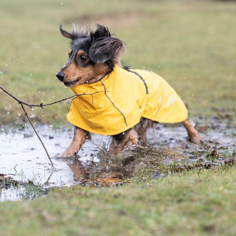 Bitiba Impermeabile per cani Rukka® Hayton Eco giallo Italy
