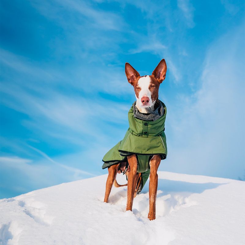 Bitiba Rukka® Warmup Cappotto per cani verde oliva Pezzi Unici