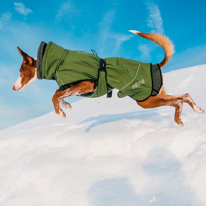 Bitiba Rukka® Warmup Cappotto per cani verde oliva Pezzi Unici