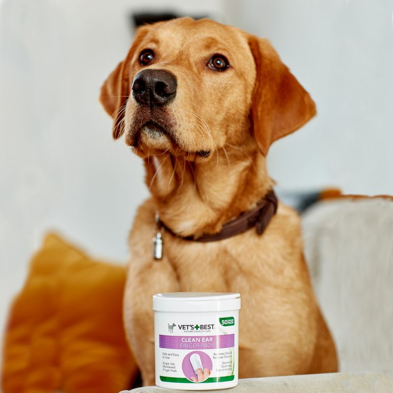 Bitiba Salviette per la pulizia delle orecchie Vet's Best® Clean Qualità Garantita