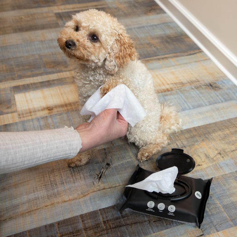 Bitiba kooa Salviette detergenti per cane Fino Al -60%