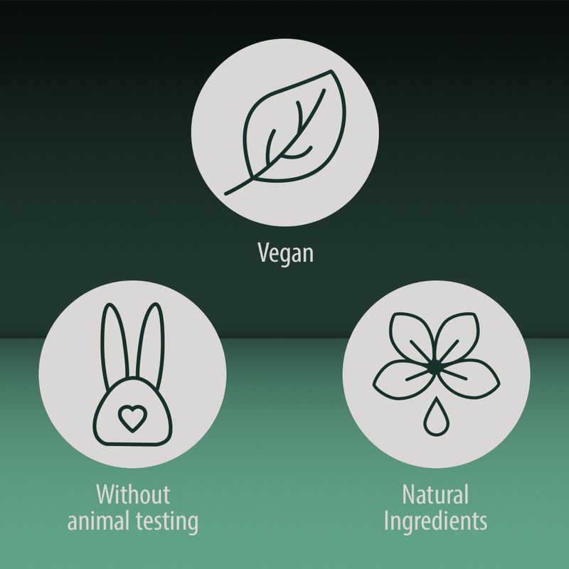 Bitiba kooa Shampoo pulizia profonda per cani Online