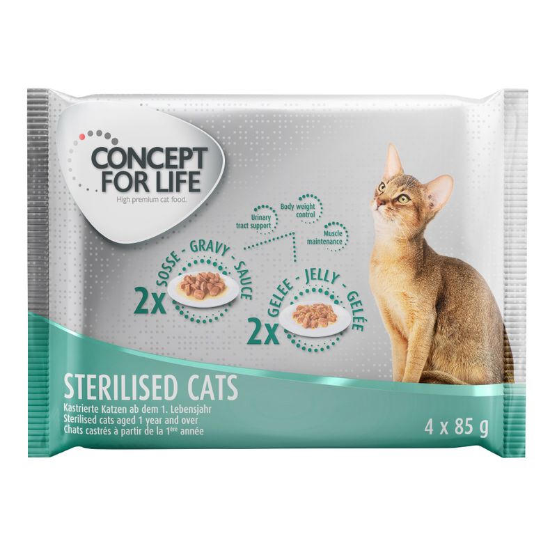 Bitiba Provalo Set misto Concept for Life 4 x 85 g Vendita Economica
