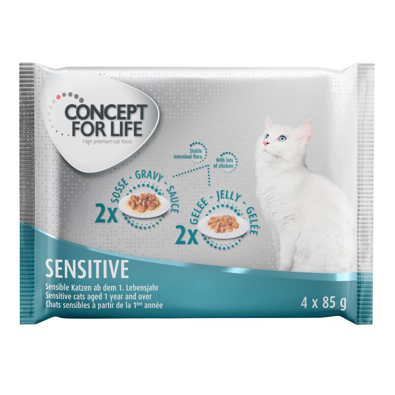 Bitiba Provalo Set misto Concept for Life 4 x 85 g Vendita Economica