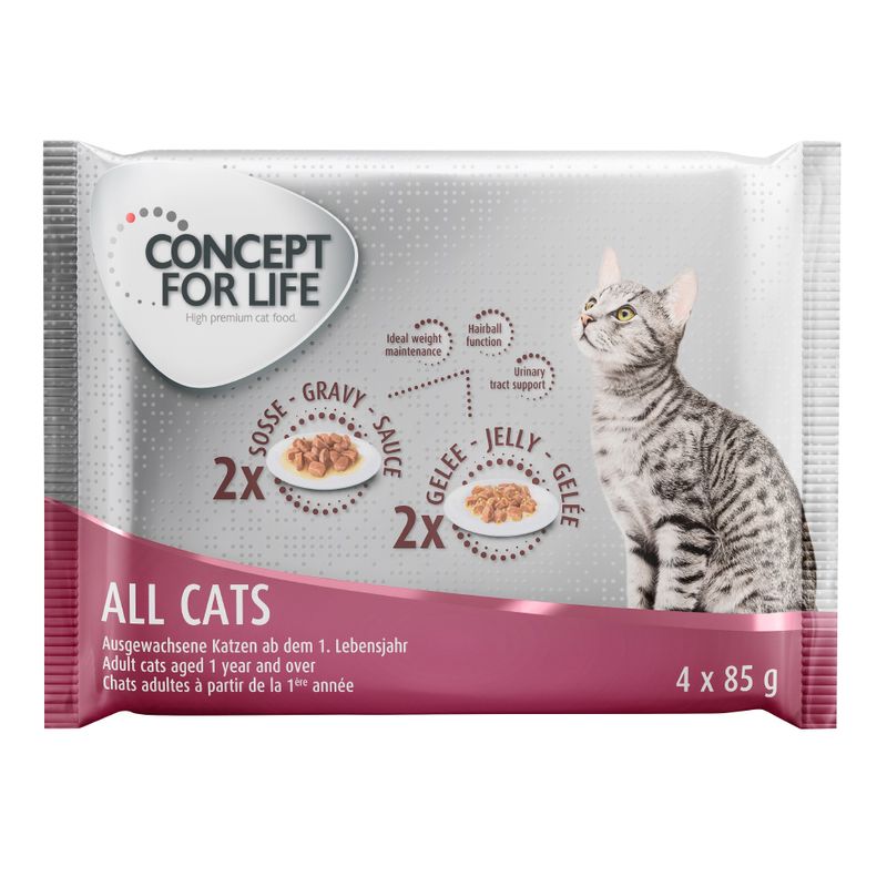 Bitiba Provalo Set misto Concept for Life 4 x 85 g Vendita Economica
