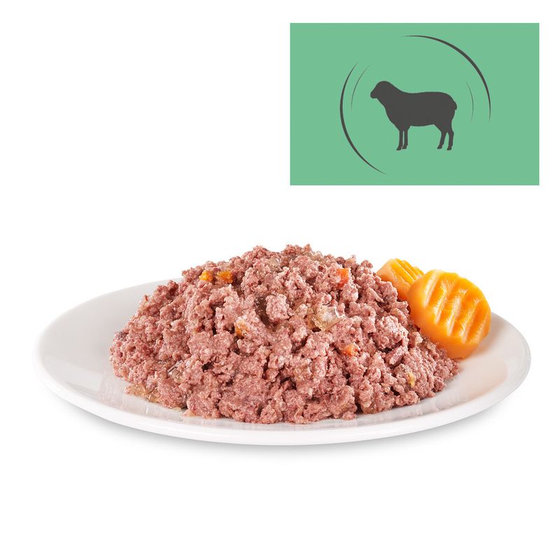 Bitiba Briantos Delicious Paté 6 x 400 g umido cane 2025
