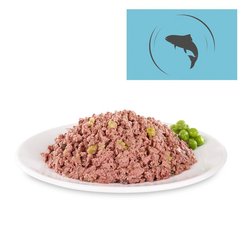 Bitiba Briantos Delicious Paté 6 x 400 g umido cane 2025
