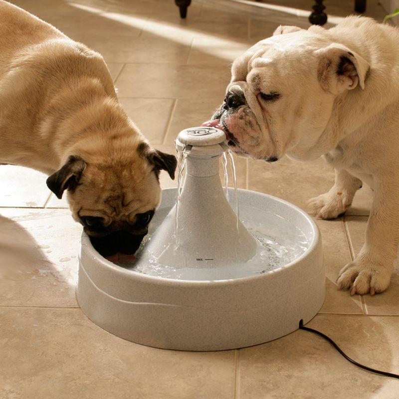 Bitiba Fontana PetSafe® Drinkwell® 360 Soddisfazione Garantita