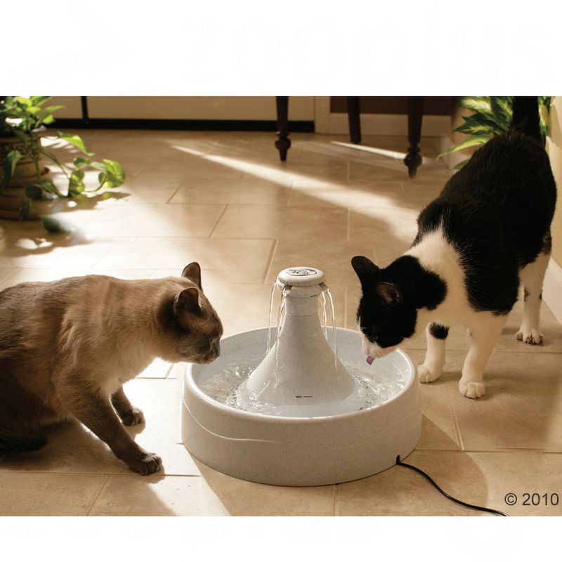 Bitiba Fontana PetSafe® Drinkwell® 360 Soddisfazione Garantita