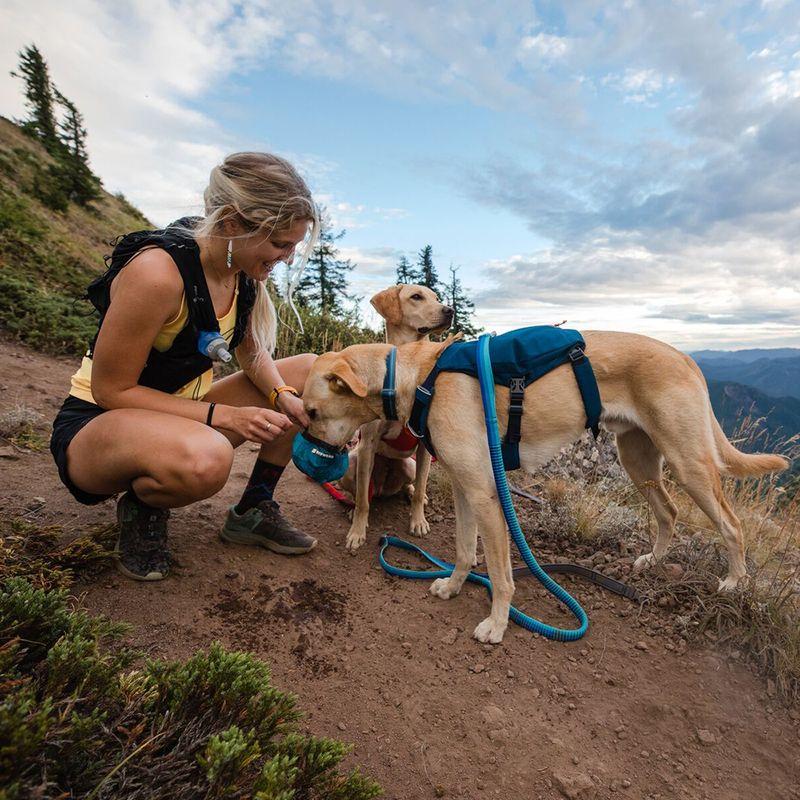 Bitiba Pettorina Ruffwear Switchbak pantone Consegna Veloce