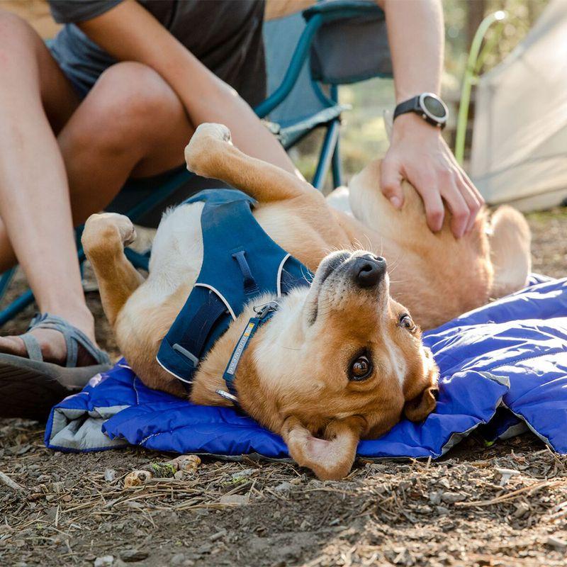 Bitiba Pettorina Ruffwear Front Range blue moon Promozione Limitata