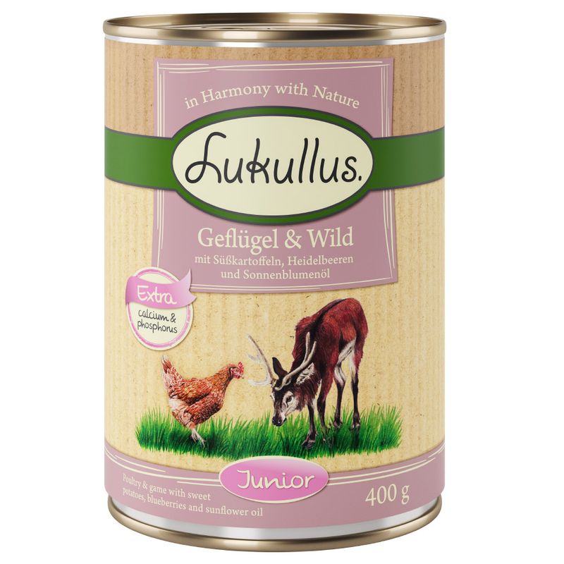 Bitiba Fai scorta Lukullus Junior 12 x 400 g umido cane Promozione Limitata
