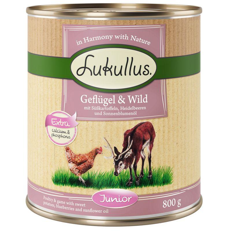 Bitiba Fai scorta Lukullus Junior 24 x 800 g Shopping Online