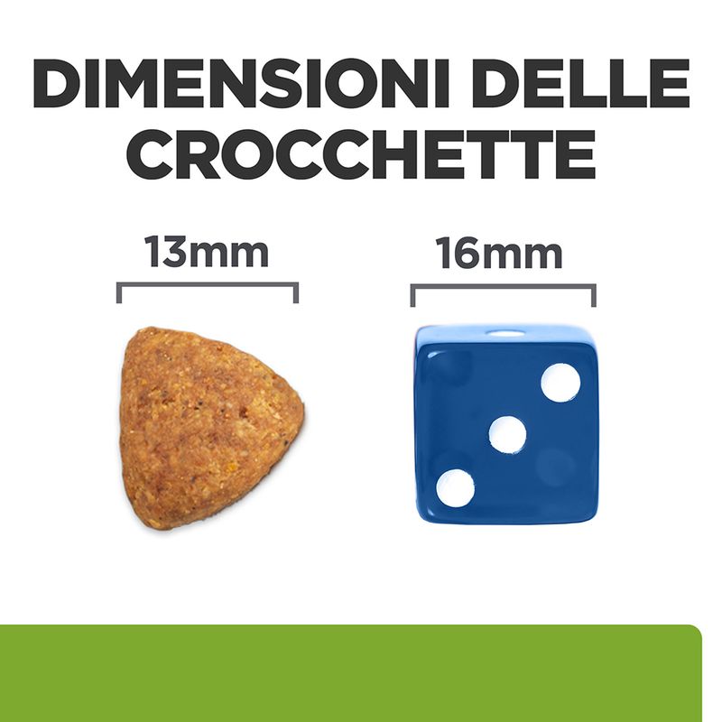 Bitiba Hill's Prescription Diet Metabolic + Mobility con Pollo per cani Online