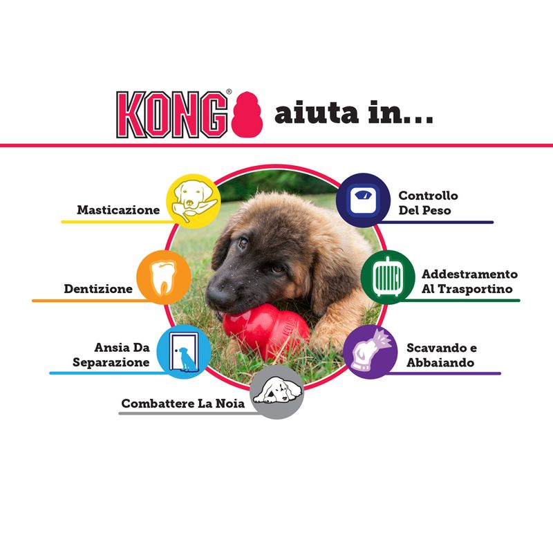 Bitiba KONG Extreme In Vendita