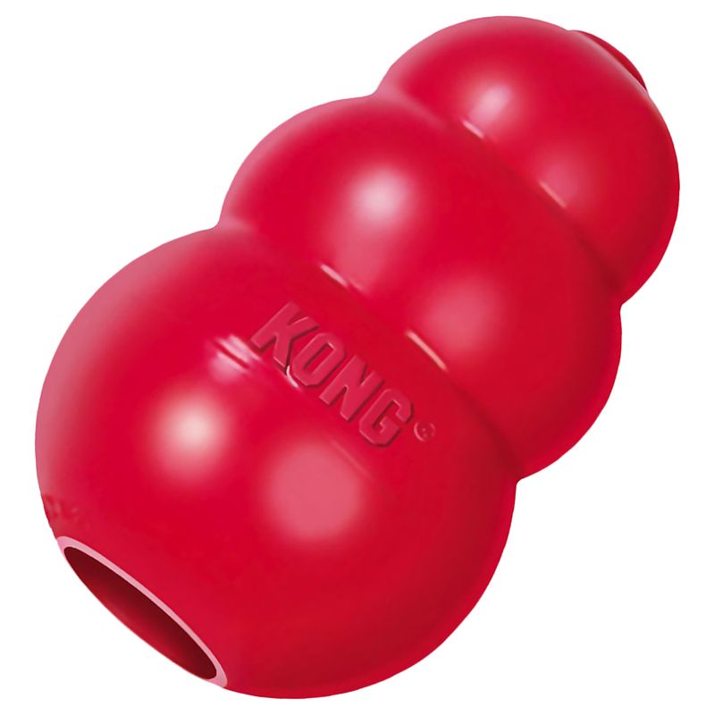 Bitiba KONG Classic Offerte