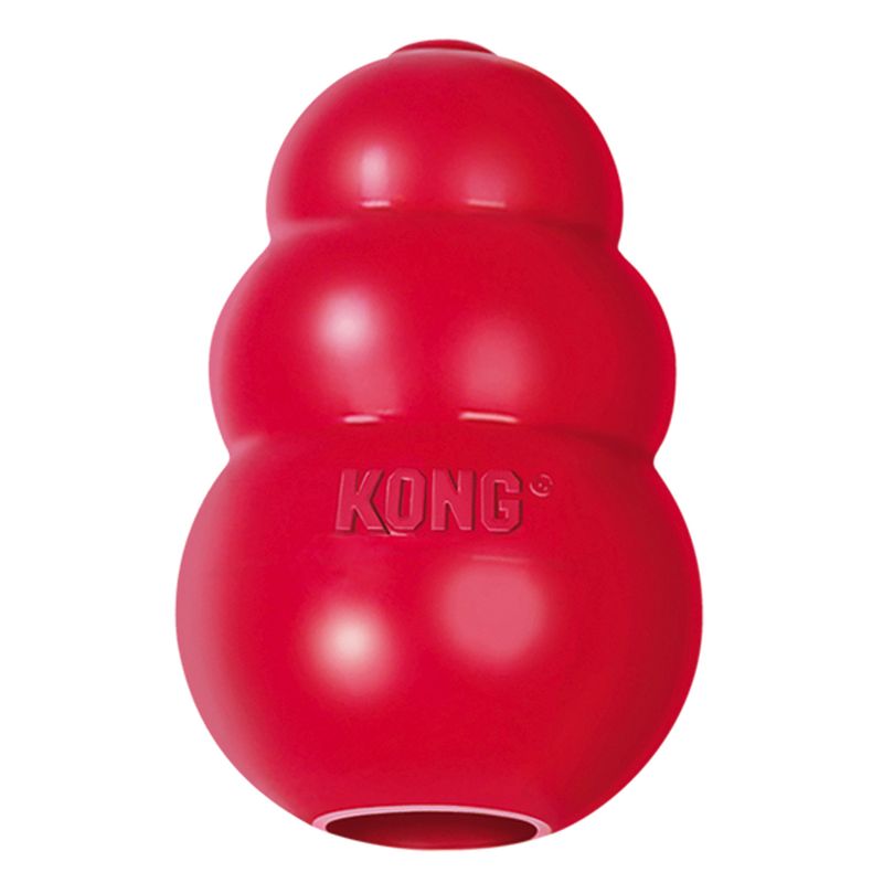 Bitiba KONG Classic Offerte