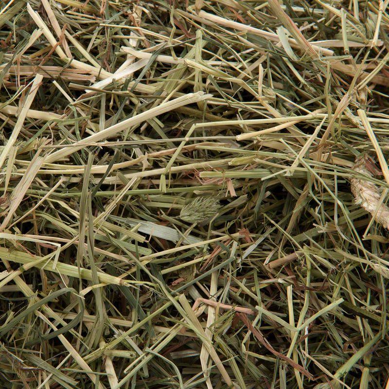 Bitiba Fieno di montagna Vilmie Qualità Garantita