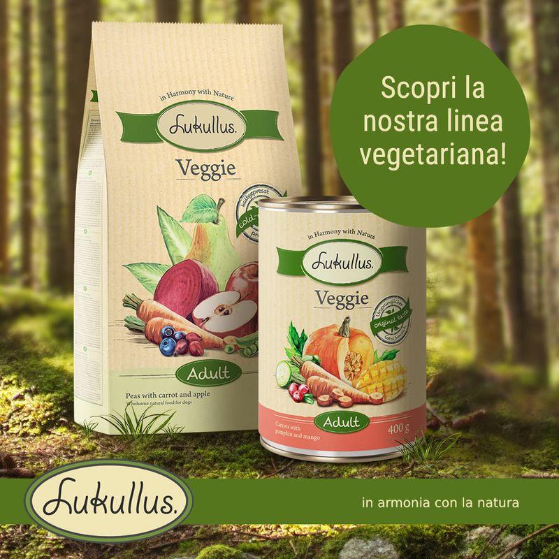 Bitiba Provalo 6 x 400 g Alimento umido + 1 5 kg Crocchette Lukullus Veggie Offerta