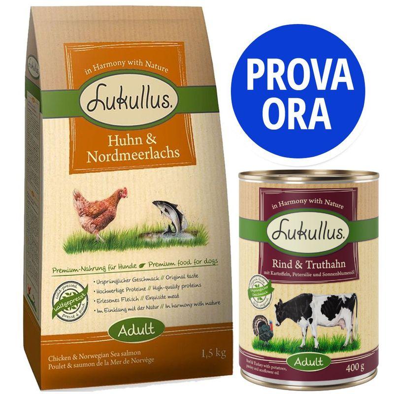 Bitiba Provalo Set misto Lukullus Economico