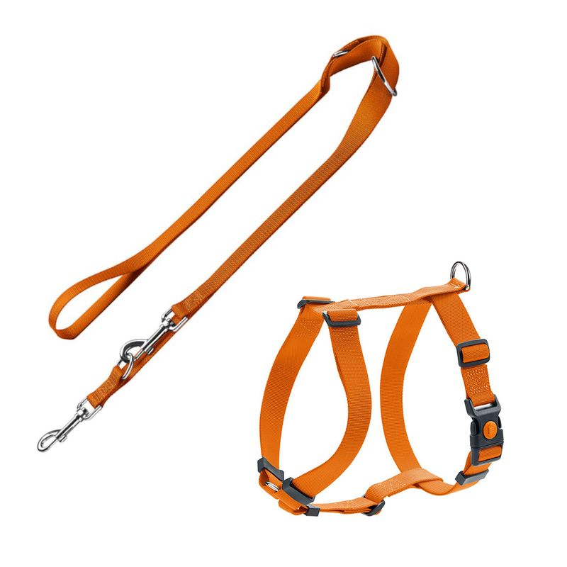 Bitiba Set pettorina e guinzaglio - Hunter London arancione Sottocosto