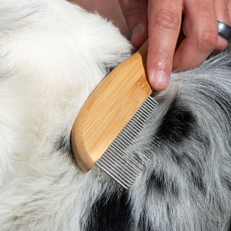 Bitiba kooa Pettine in bambù con denti rotanti Qualità