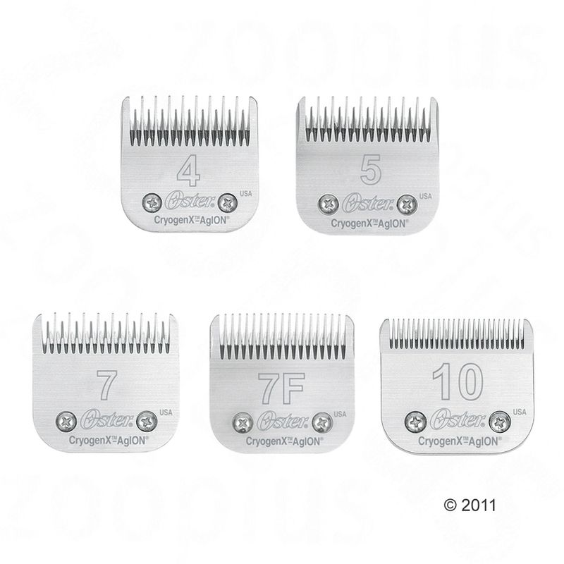 Bitiba Testa di taglio n° 7 Skip Tooth (3 2 mm) per Tosatrici Oster Fino Al -60%