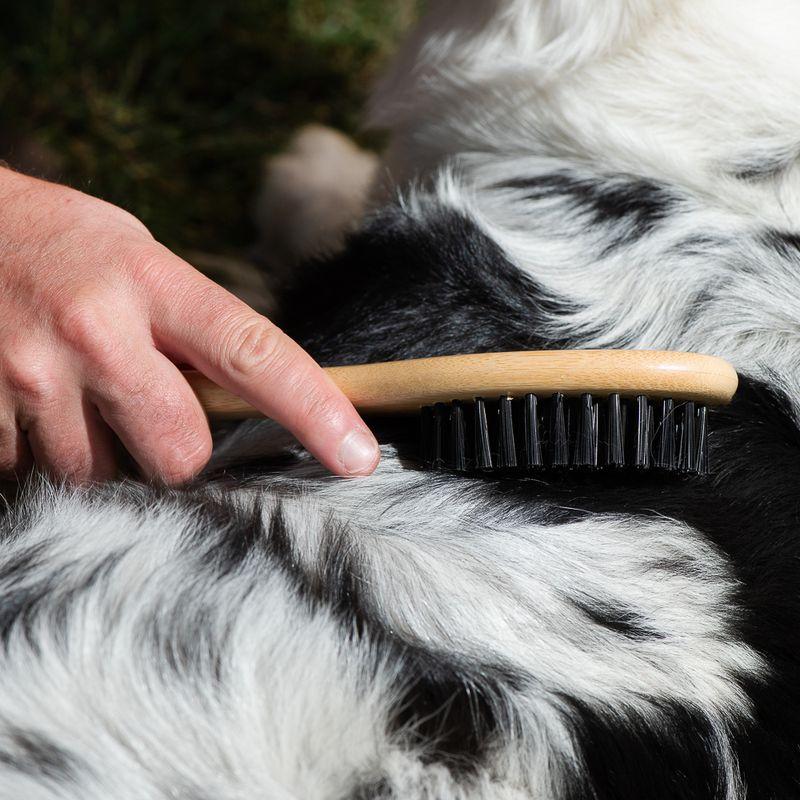 Bitiba kooa Spazzola in bambù per la cura del pelo Presa